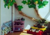 幼儿园活动区布置：自然角——绿树成荫