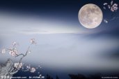 幼儿园中秋节图片：花好月圆