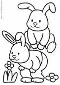 幼儿园简笔画：兔子和花