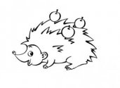 幼儿园动物简笔画：小刺猬