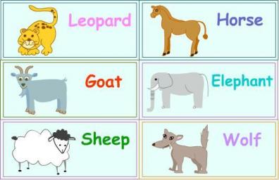 幼儿园生活常识_幼儿园幼教图库_幼儿园图片