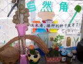 幼儿园区角布置：自然角12