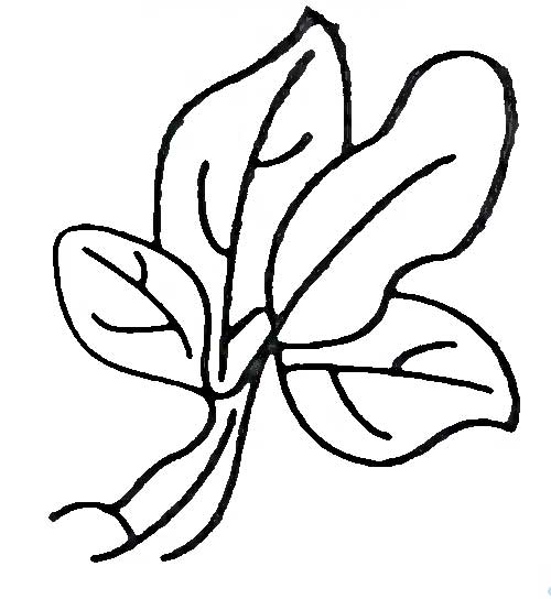 ߲˼ʻͼƬŵ8