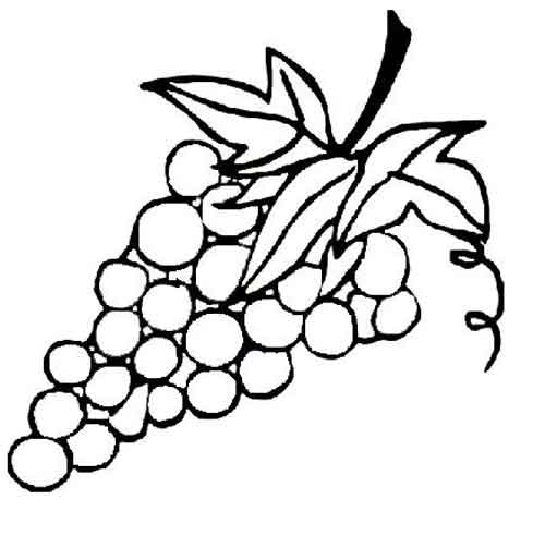 Image Result For Gambar Mewarnai Buah Buahan Image Result For Gambar Mewarnai Buah Buahan